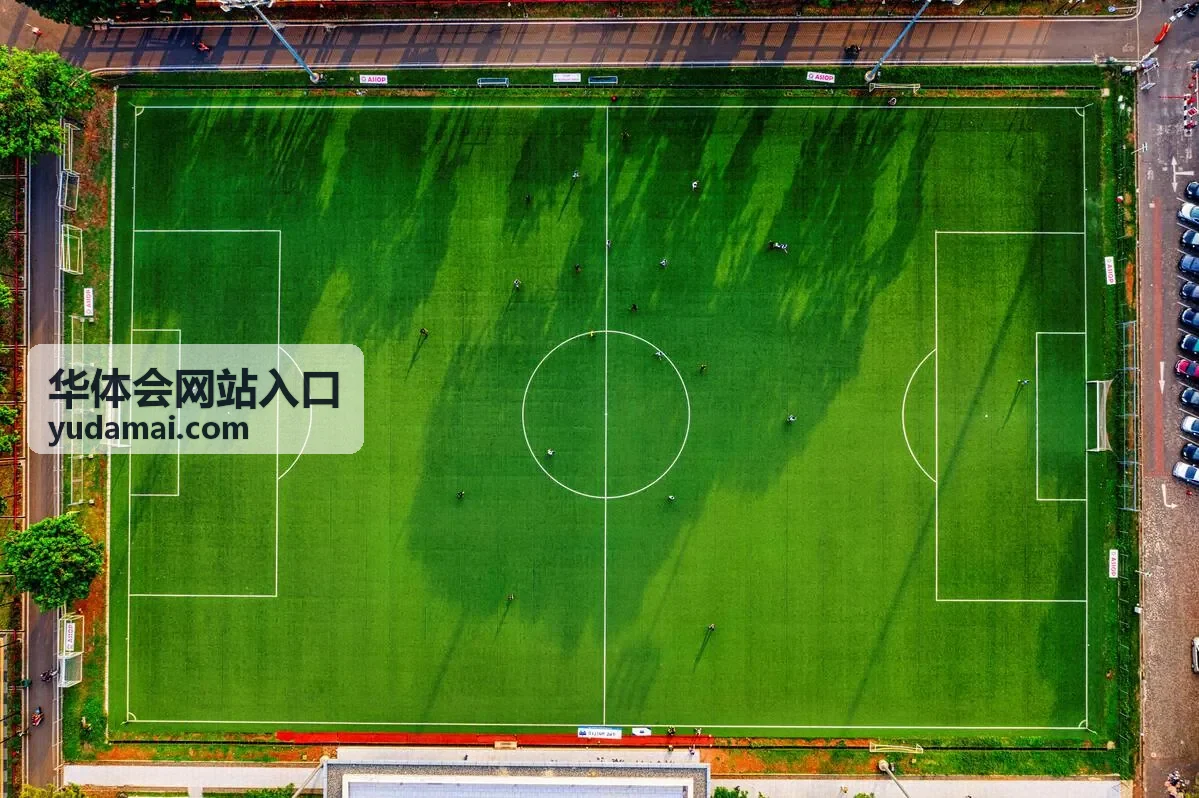 华体会网站入口账户与安全设置说明页示意