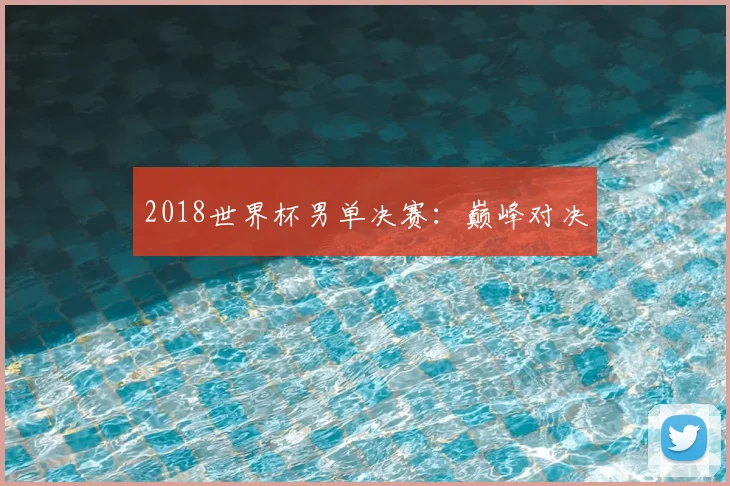 2018世界杯男单决赛:巅峰对决