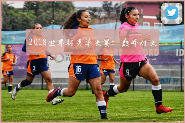 2018世界杯男单决赛:巅峰对决
