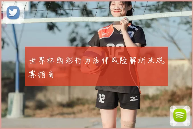 世界杯购彩行为法律风险解析及观赛指南