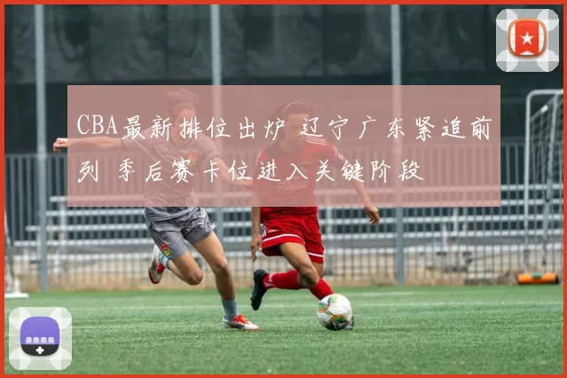 CBA最新排位出炉 辽宁广东紧追前列 季后赛卡位进入关键阶段