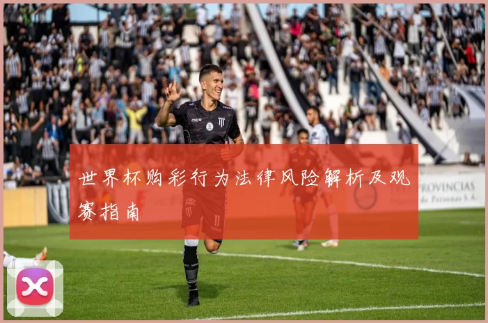 世界杯购彩行为法律风险解析及观赛指南