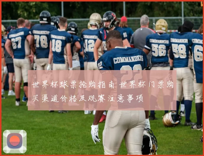 世界杯球票抢购指南 世界杯门票购买渠道价格及观赛注意事项
