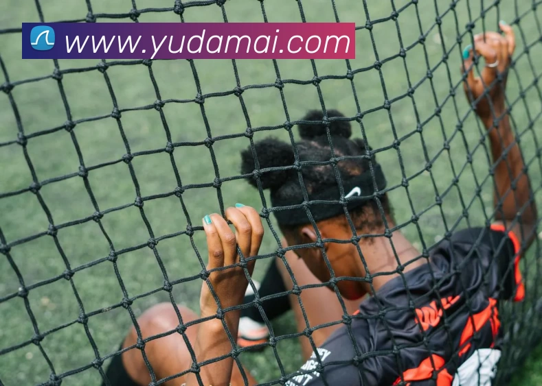 App Interface Preview