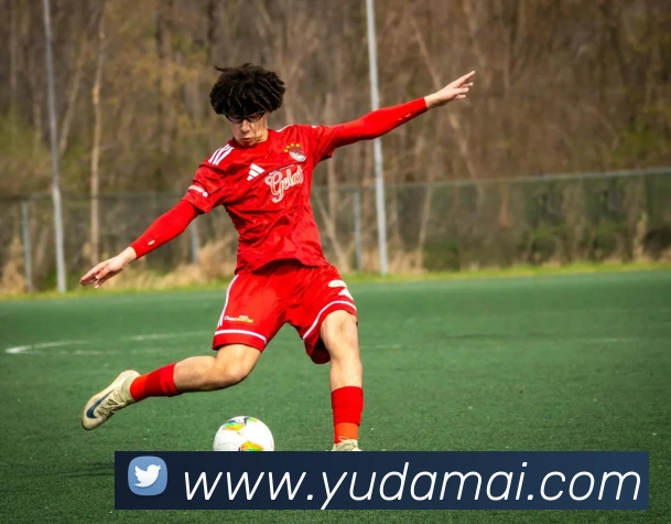 九游手机官网入口APP 高清赛事图